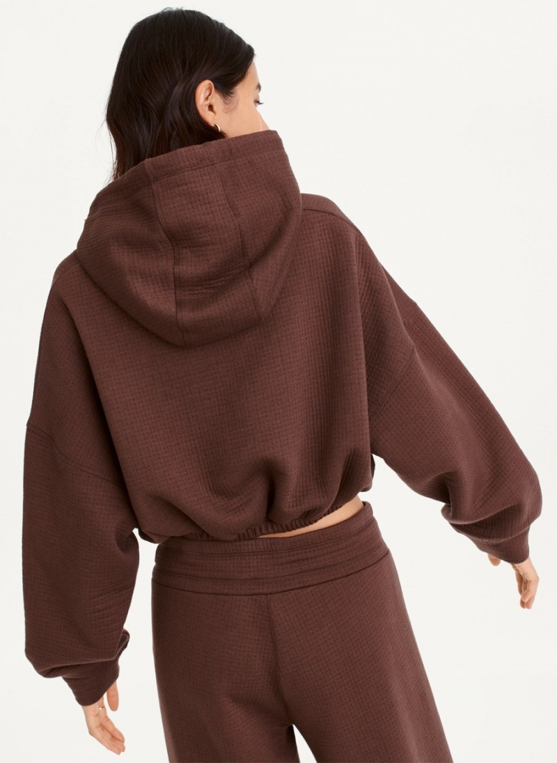 Women's Dkny Cropped Ottoman Knit Hoodie Brown | U1271177